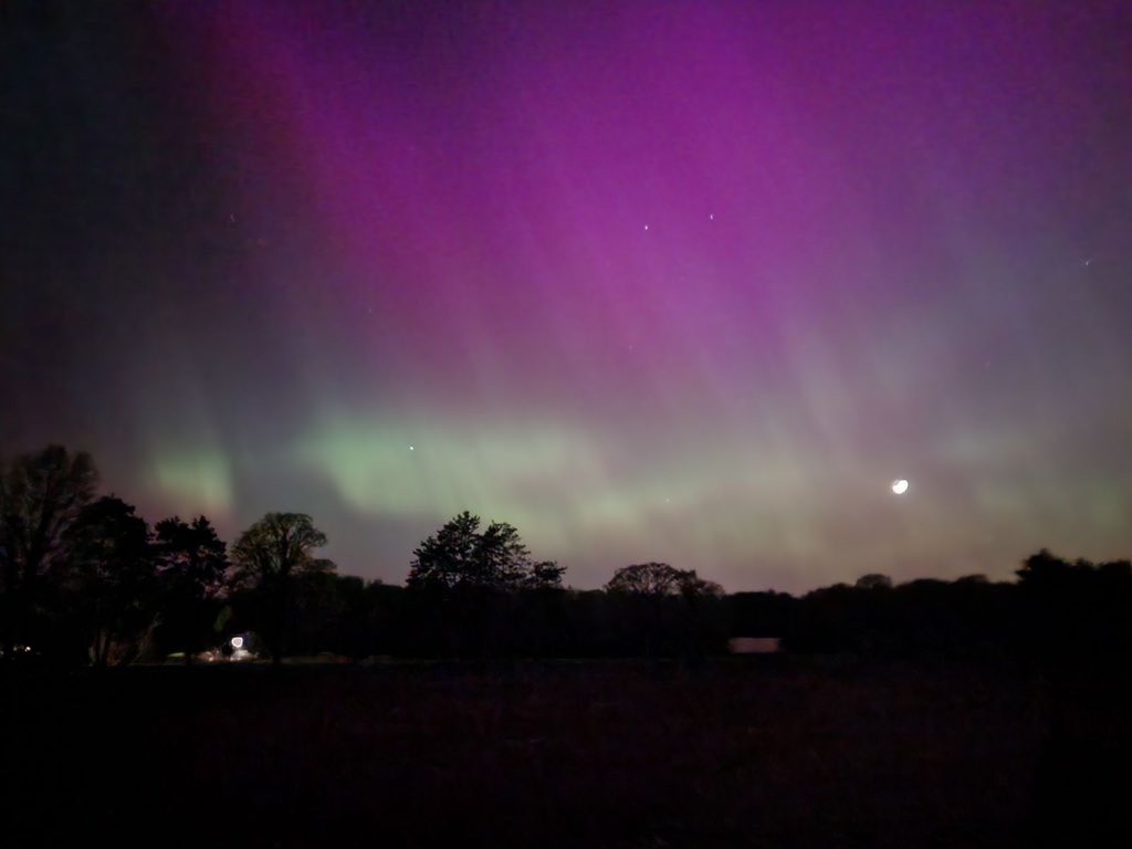 Chantal Zorad tweet media