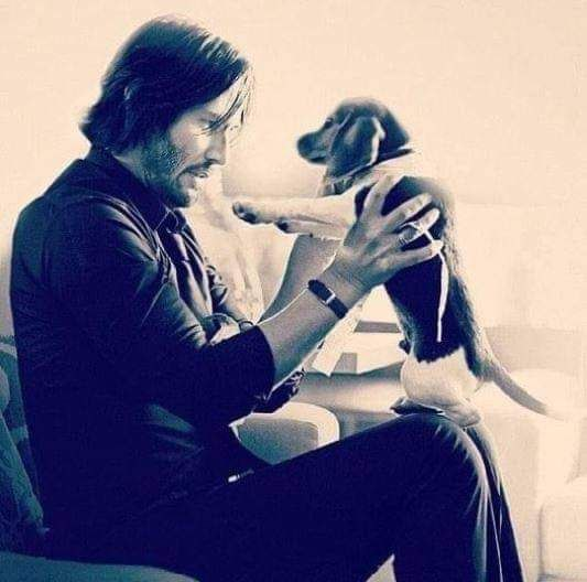 'Good people are those who love animals. Animal nobility is a real teaching. Thanks to them, we are more modest, more empathetic, more affectionate people. They give us their love unconditionally, without asking for anything in return, they do us good.' ~Keanu Reeves