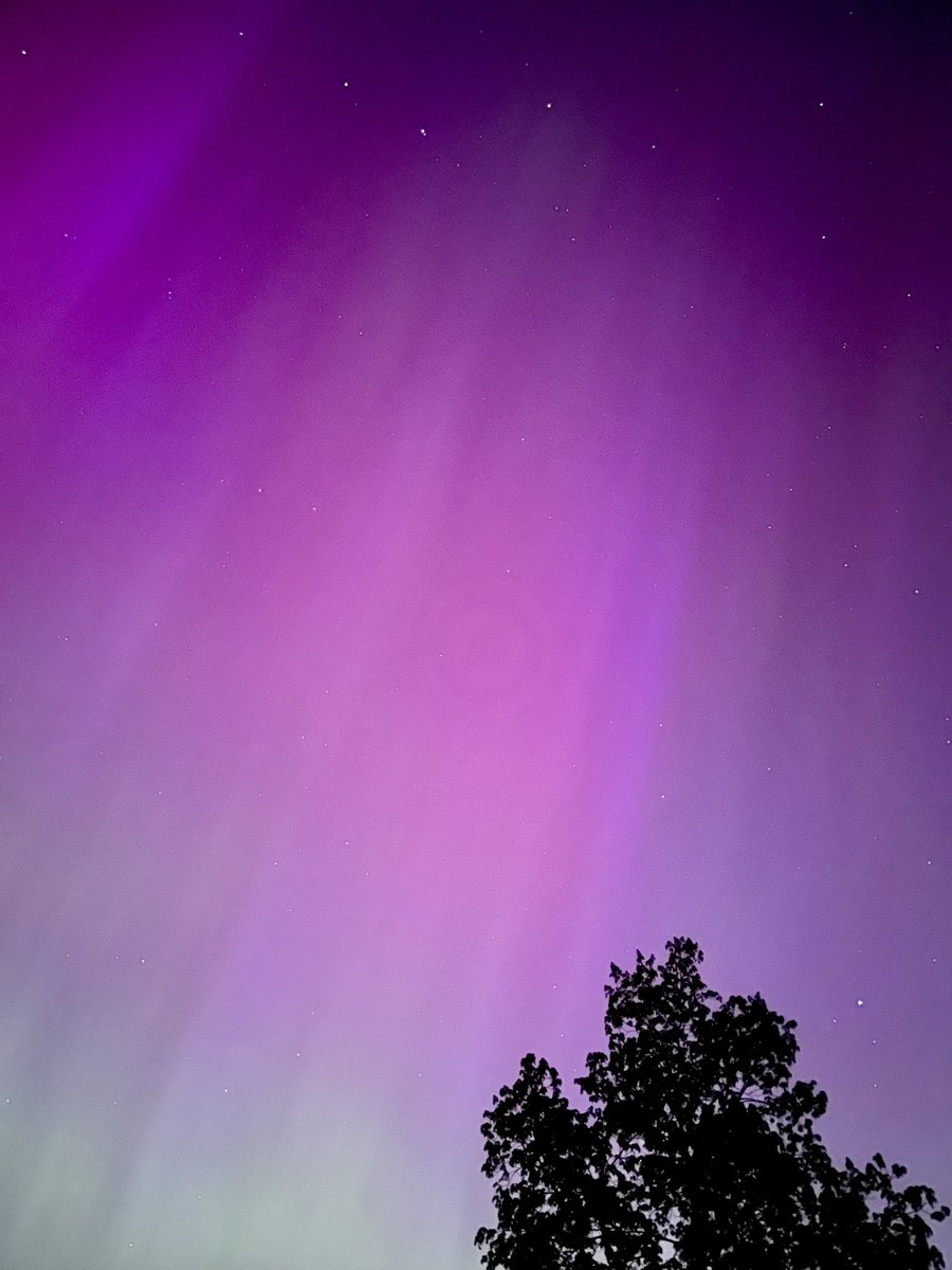 Brian Umberger tweet media