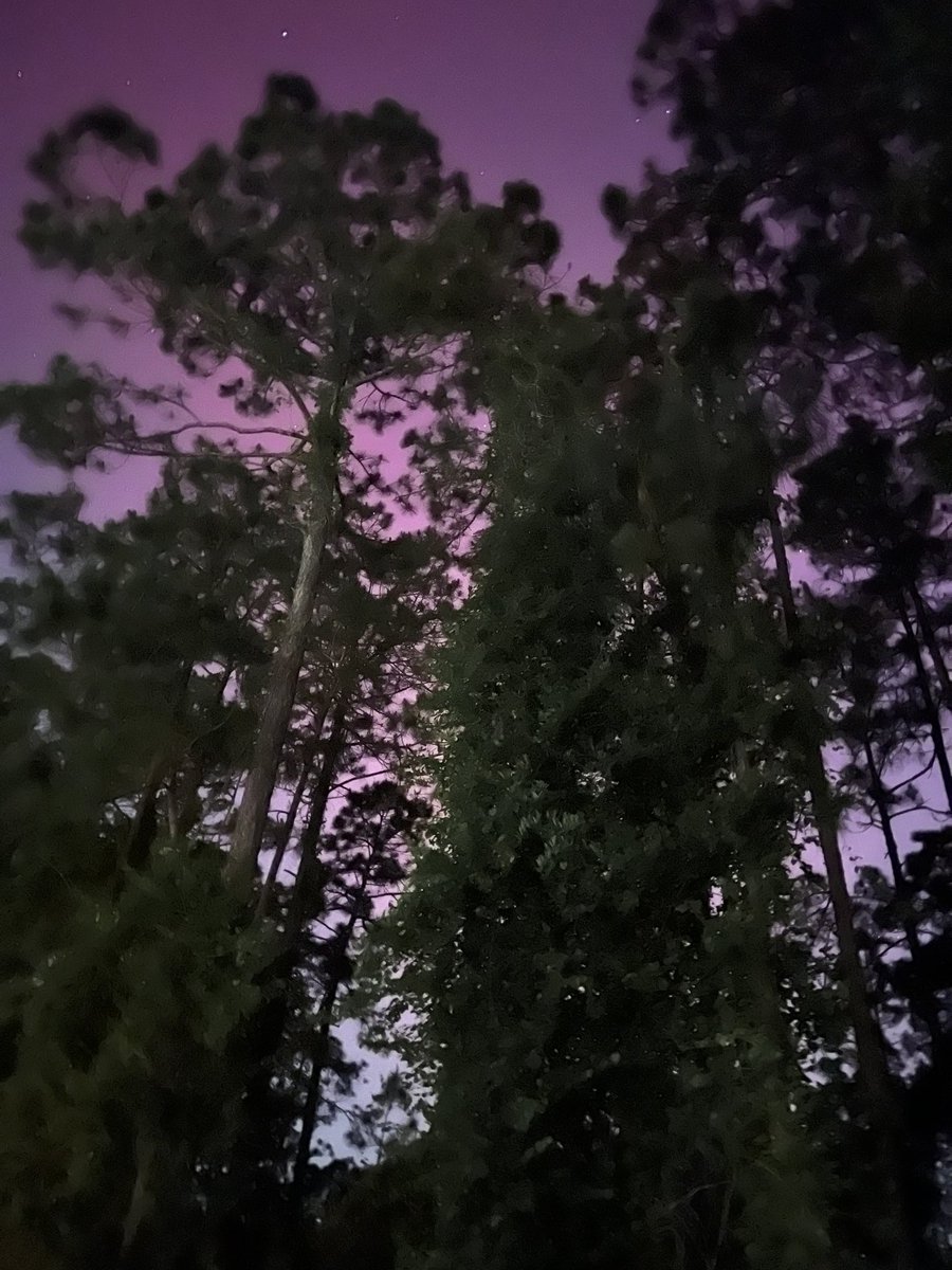 My girlfriend outside of St. Augustine, Florida can see the northern lights 👀