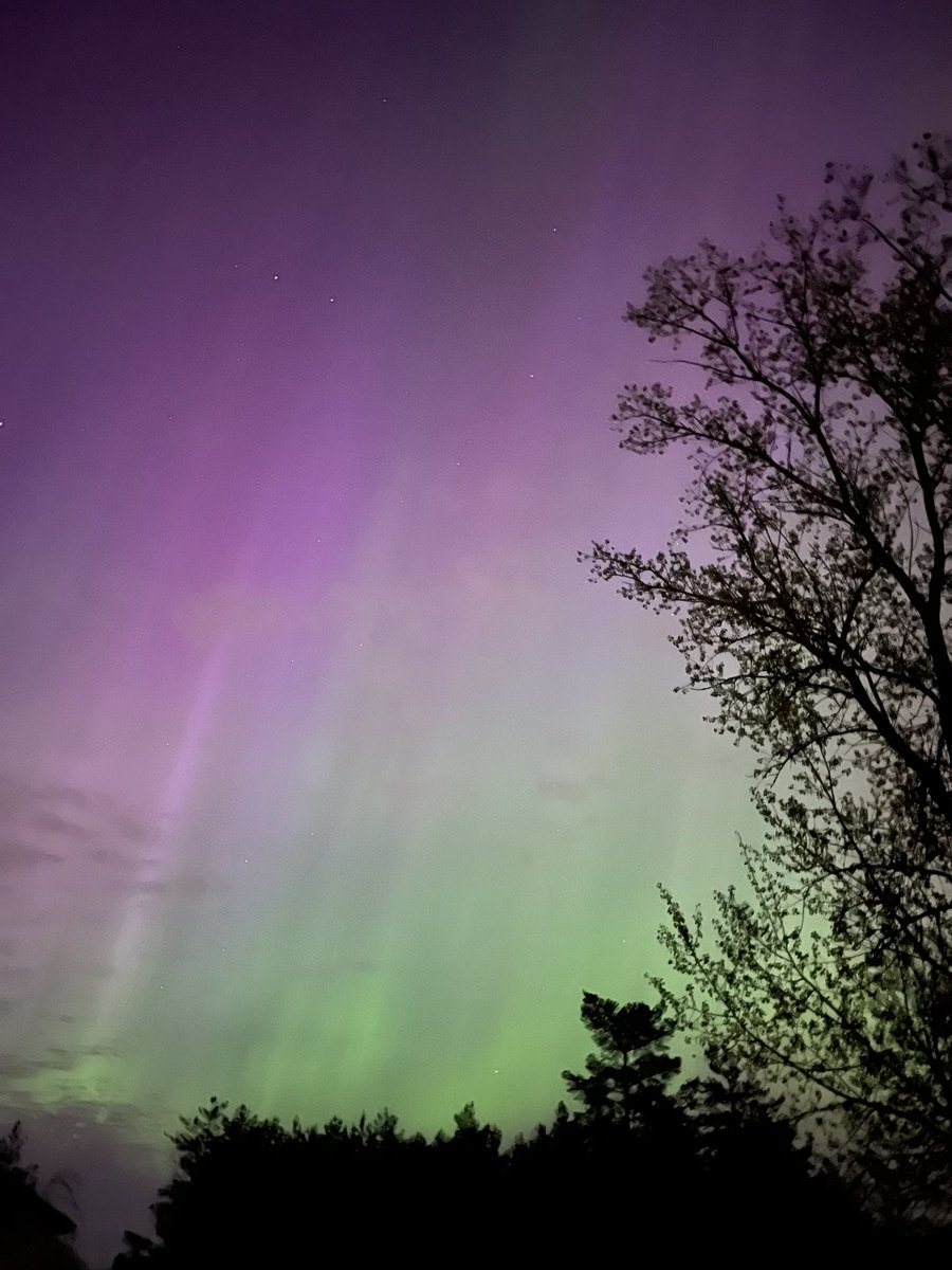 CoachJenks_21's tweet photo. Absolutely Amazing. Buffalo and the northern lights did not disappoint. https://t.co/FevntYpqoQ
