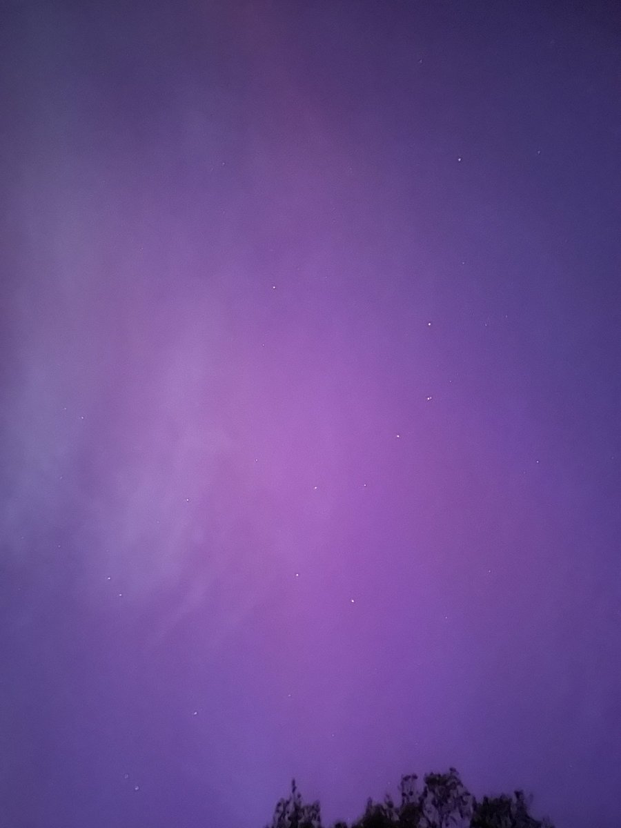 Albert “Trey” Fuccillo tweet media