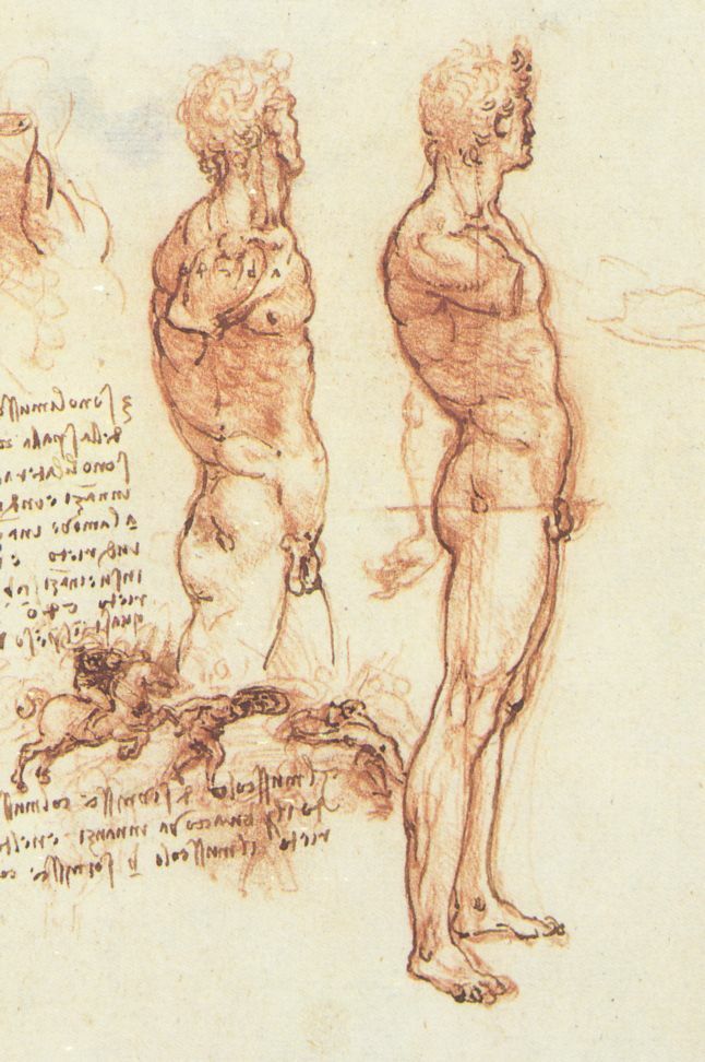 The anatomy of a male nude and a battle scene wikiart.org/en/leonardo-da…