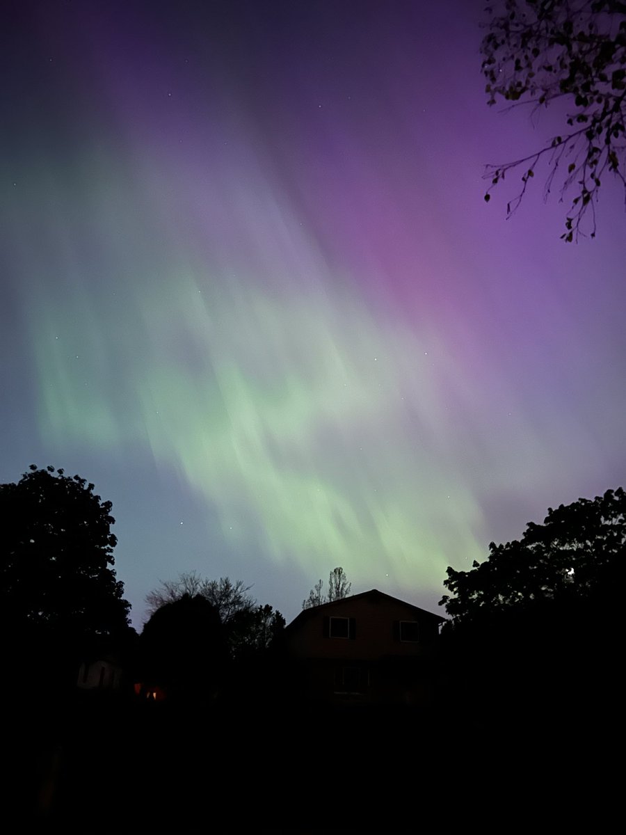 Sara Rosell tweet media