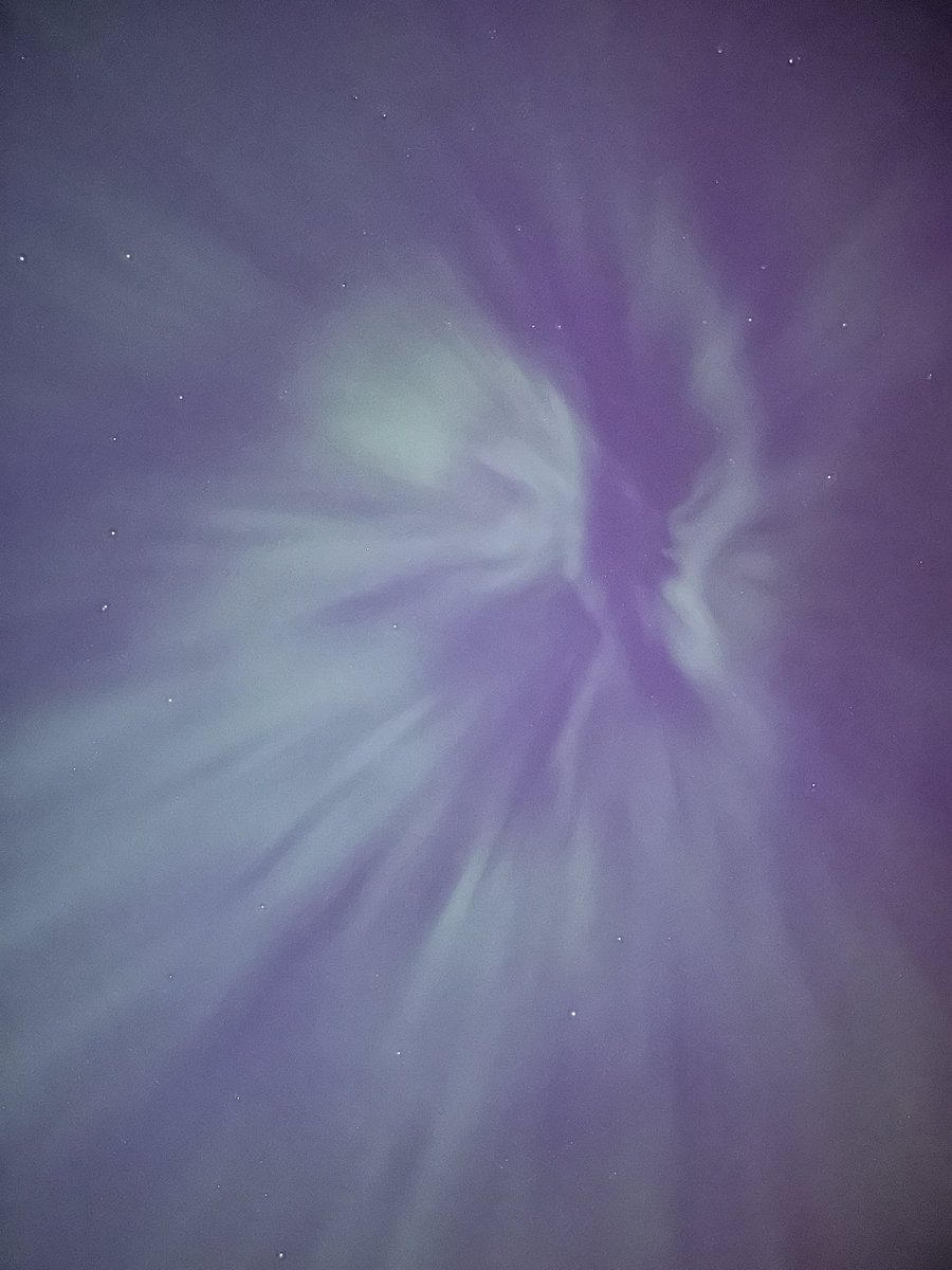 Dr. Susan Hough tweet media