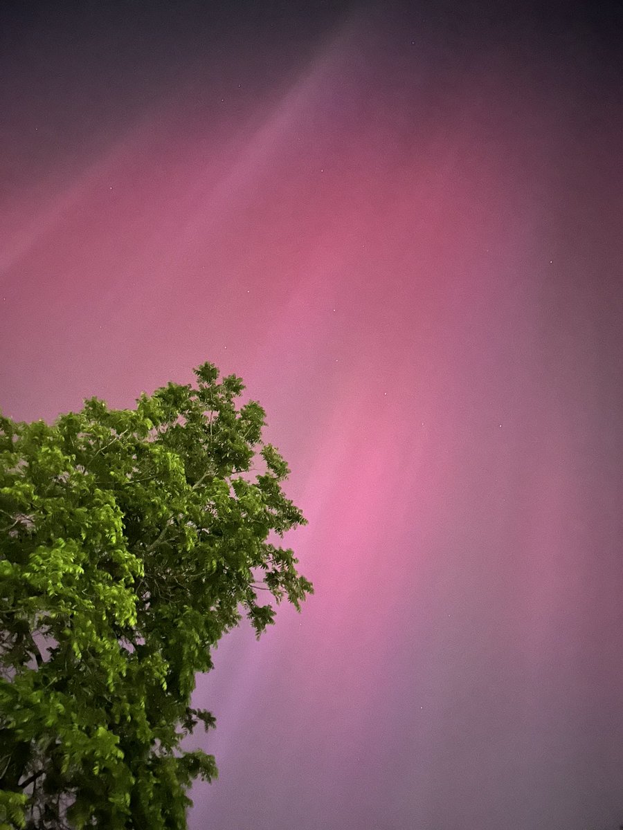 Jacob_Authement's tweet photo. Northern lights in Columbia, MO! https://t.co/AZhC5eznLd