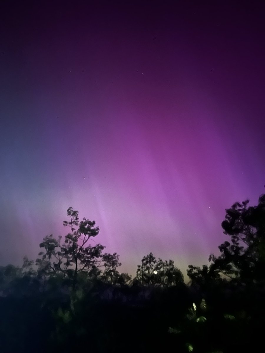CarbieThe's tweet photo. Kerhonkson, NY Auroras! https://t.co/q0MCo0sI7z