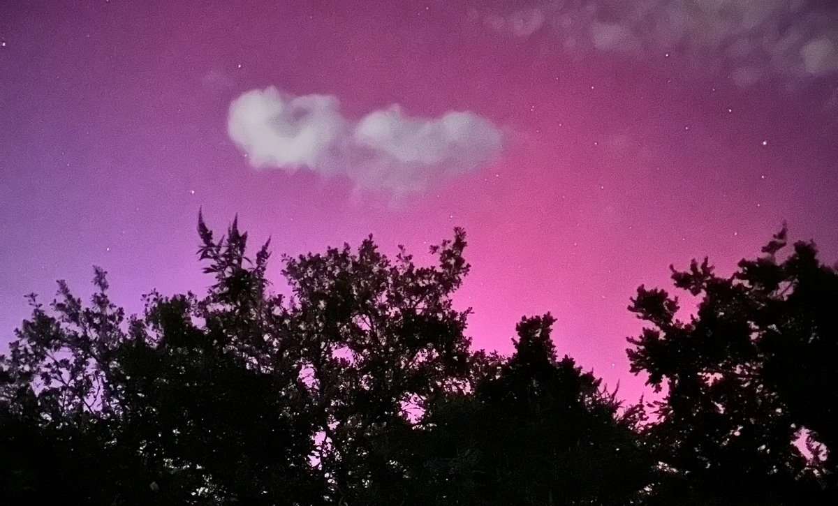 Cathy Stark tweet media