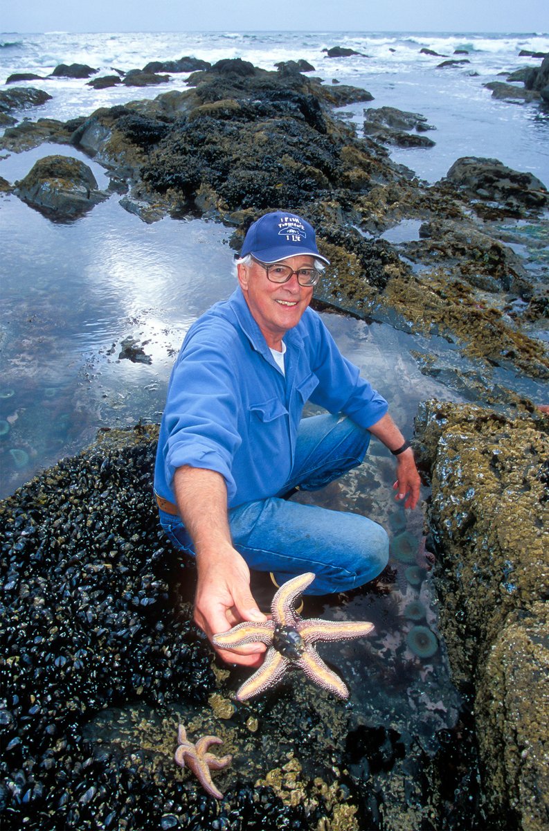 Bob Paine reshaped ecology when, in the 1960s, he called starfish a “keystone species” in Washington’s tide pools. On the day he died in 2016, Paine’s last paper was published. In it, he dubbed humans a “hyperkeystone” species that influences all others. quantamagazine.org/ecologists-str…