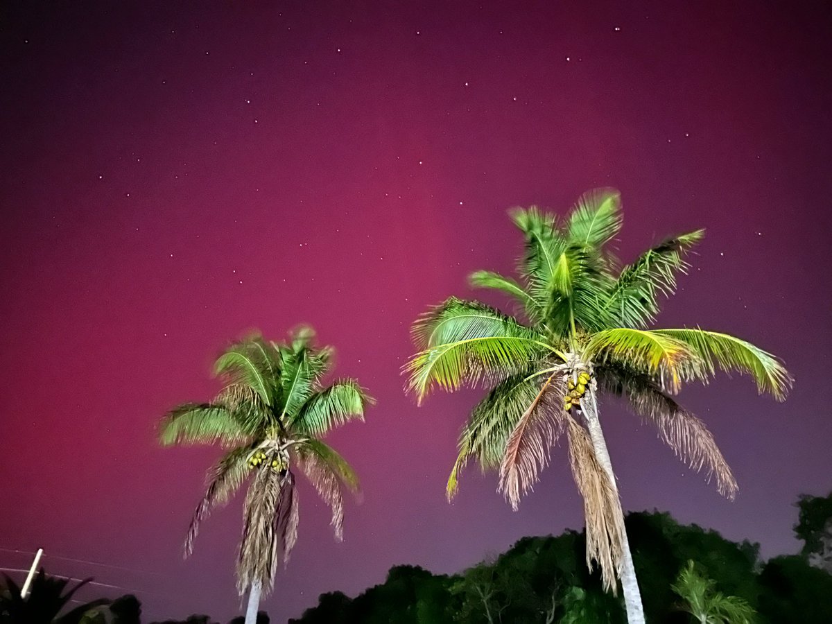 Northern Lights RIGHT NOW over #KeyLargo Florida, this is insane to see the Aurora Borealis so far south !