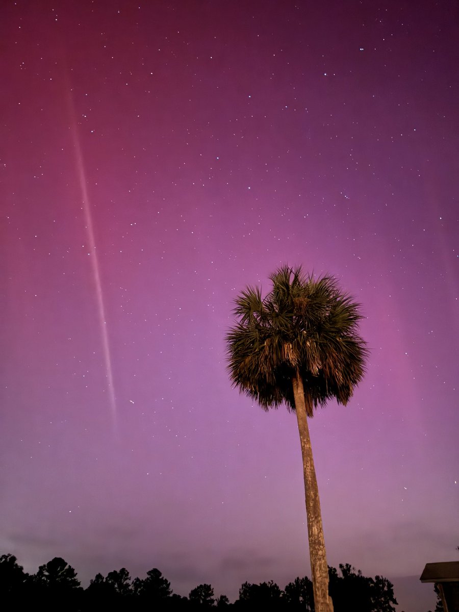 StormChaserLo's tweet image. Um. So. Guys. This is my yard in FLORIDA… #flwx #aurora