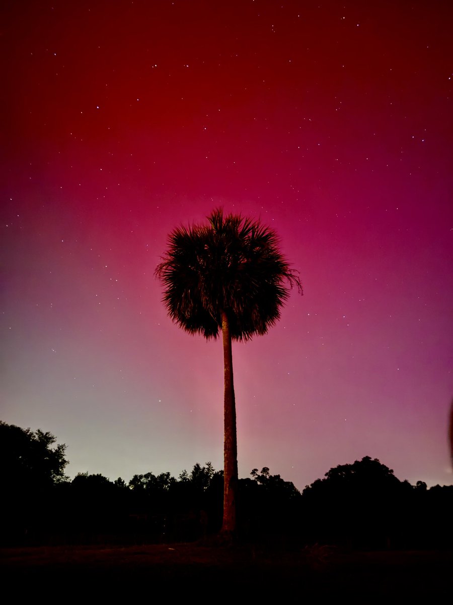 Um. So. Guys. This is my yard in FLORIDA… #flwx #aurora