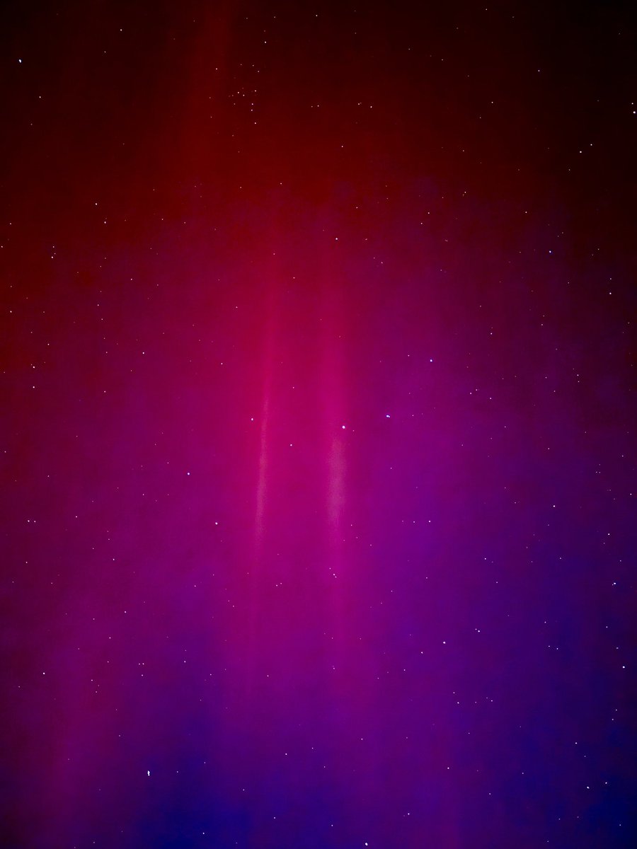 StormChaserLo's tweet image. Um. So. Guys. This is my yard in FLORIDA… #flwx #aurora