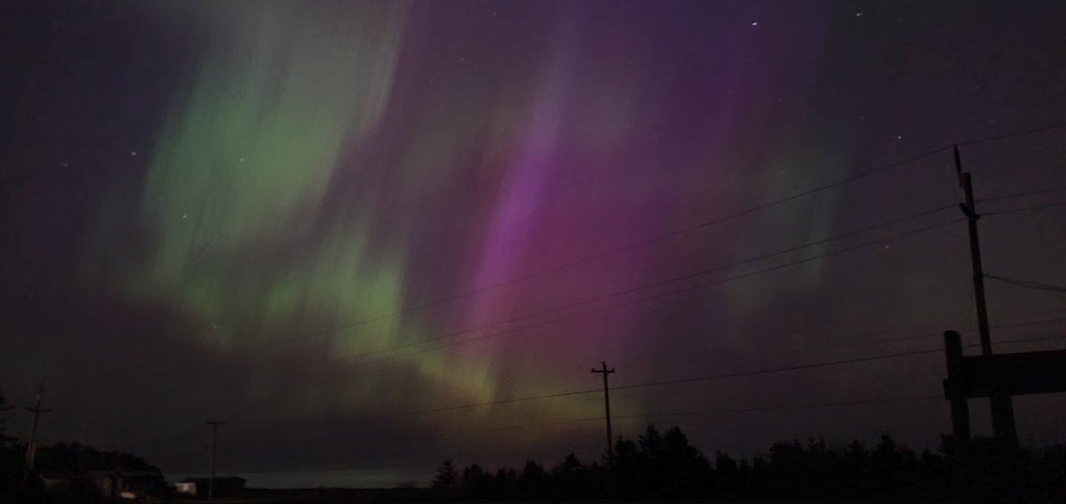 Sean Doyle tweet media