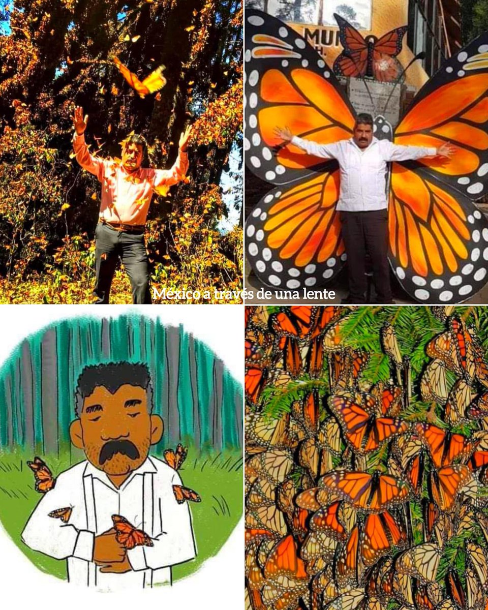 “Dicen que las mariposas Monarca son el alma de los muertos, dicen que Homero sigue cuidando de ellas." 🦋

Documental que habla de Homero Gómez González, ambientalista egresado de la #uach en #texcoco ‘El guardián de las Monarcas’ ya está disponible en Netflix.