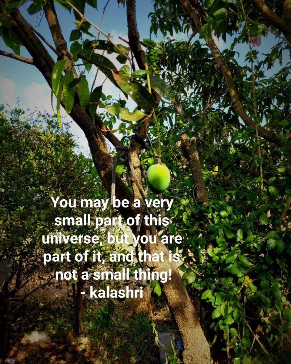 You may be a very small part of this universe, but you are part of it, and that is not a small thing!
- kalashri

#please #spirituality #close #my #photography #photooftheday #closeup #closeupphotography photo #photographer #search #pain #selflove #energy #dream #energyhealing
