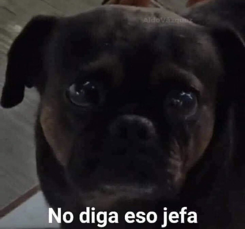 Mi mamá: “El día qué yo ya no esté”

Automáticamente yo: