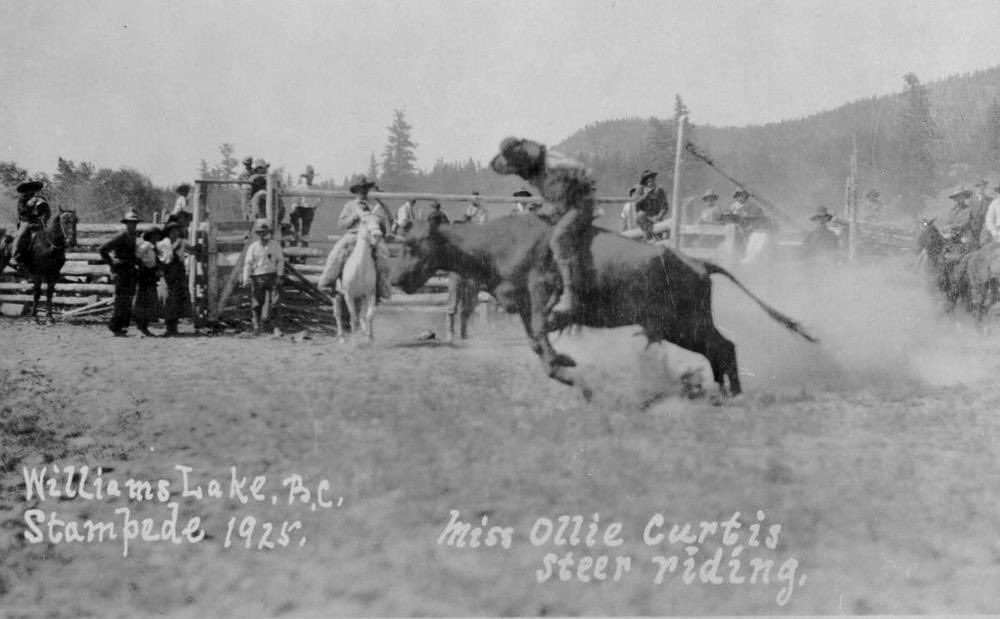 Legendary cowgirl Miss Olive 'Ollie' Curtis riding a Steer at the famous Williams Lake Stampede 100 years ago. Ollie was inducted into the BC Cowboy Hall of Fame this year! BC Archives, thanks to The Williams Lake Tribune.