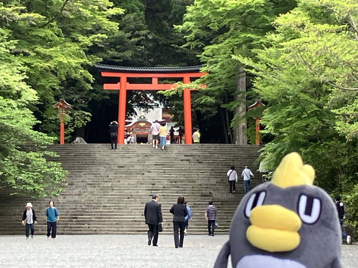 霧島神宮にも行ってきましたぞ
日本でも有数のパワースポット✨

#くもジロー #出張シリーズ #鹿児島