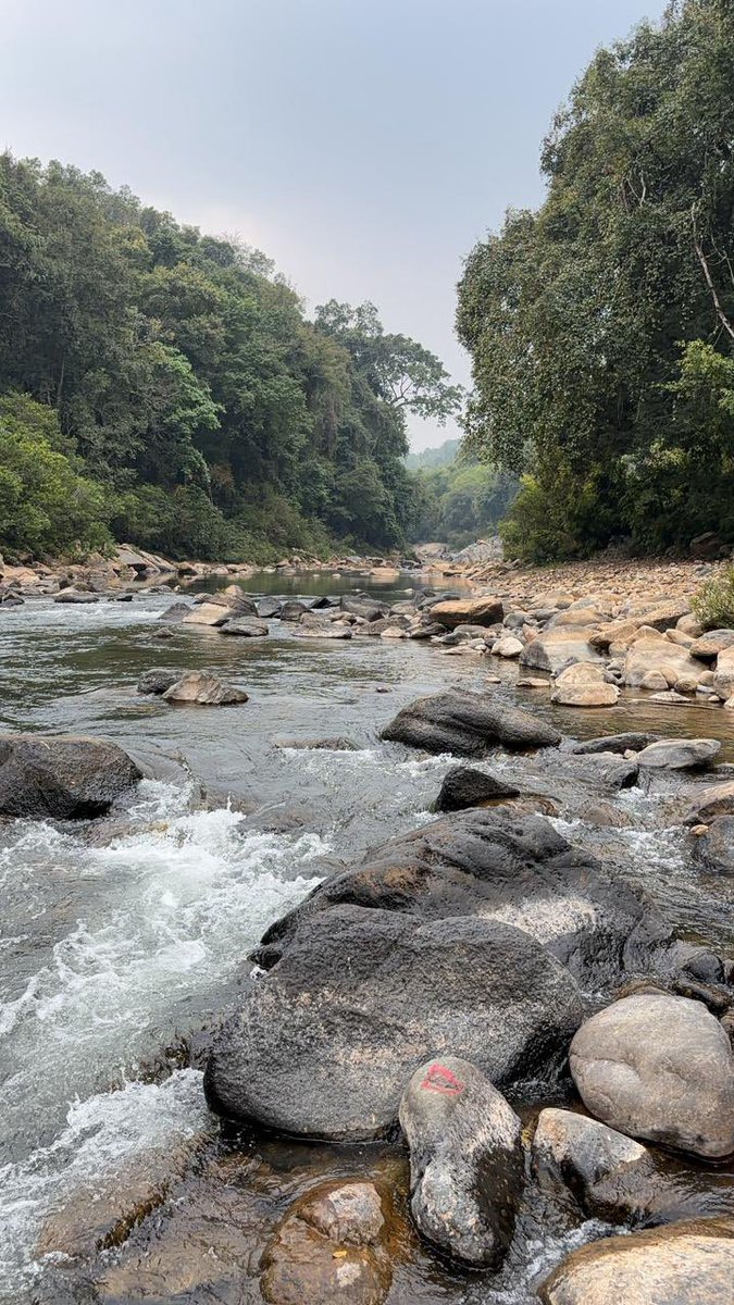 Had the opportunity of visiting the source of the New Shillong water supply scheme yesterday.. this river where Umsung & Umkhen meet will cater to the upcoming New Shillong township adequately