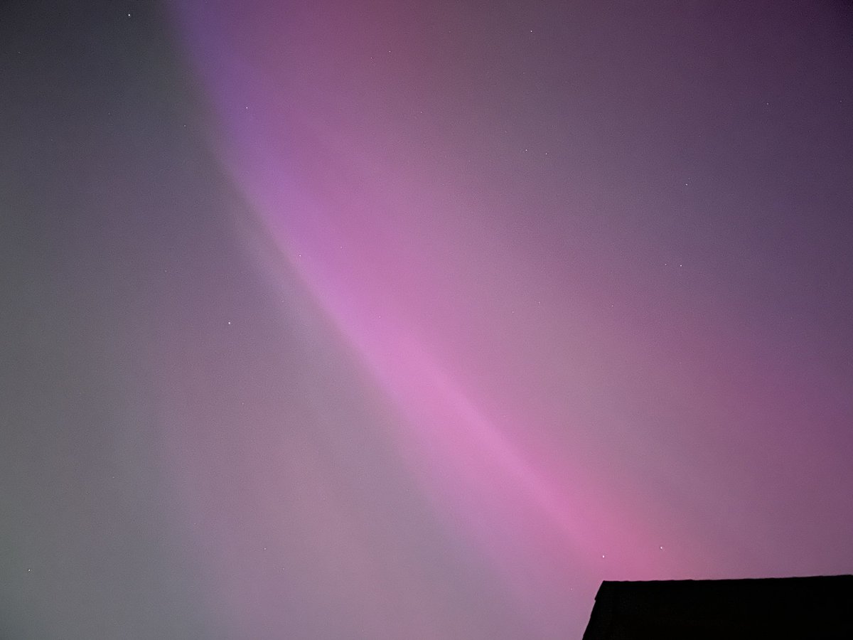 Mark Chast tweet media