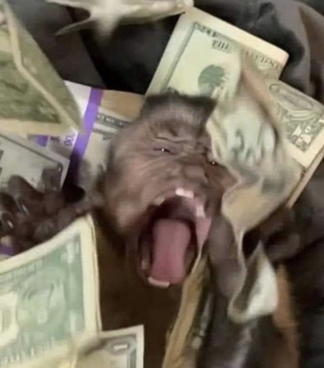 “el dinero no da la felicidad”
yo con dinero: