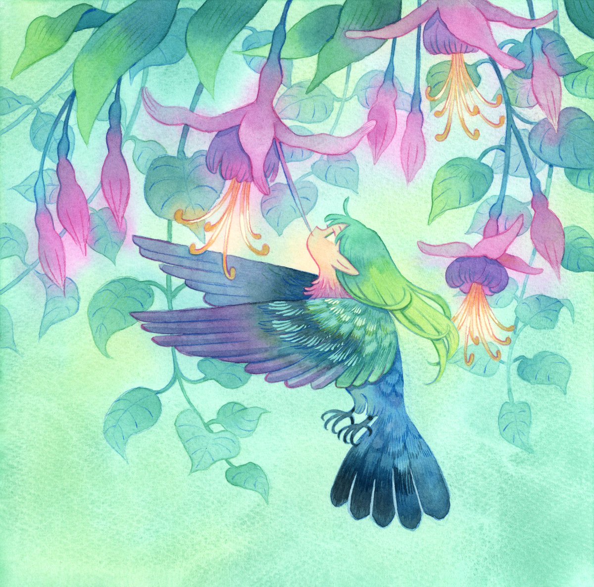 「Hummingbird」|Heikalaのイラスト