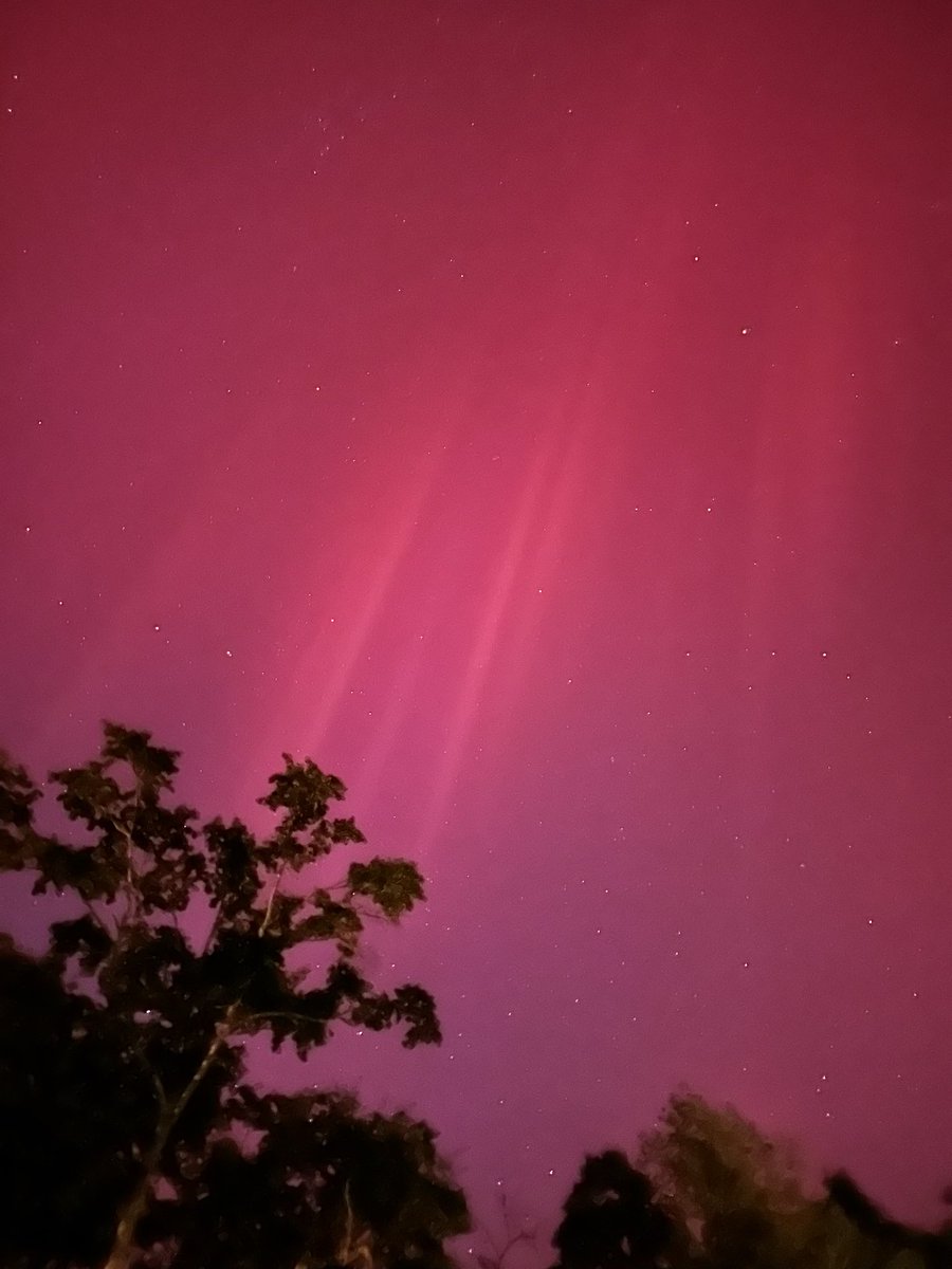 chip_blake's tweet photo. Aurora seen tonight in Tallahassee, FL! #flwx @spann @JoshWeather https://t.co/WC4Ws2bK3k