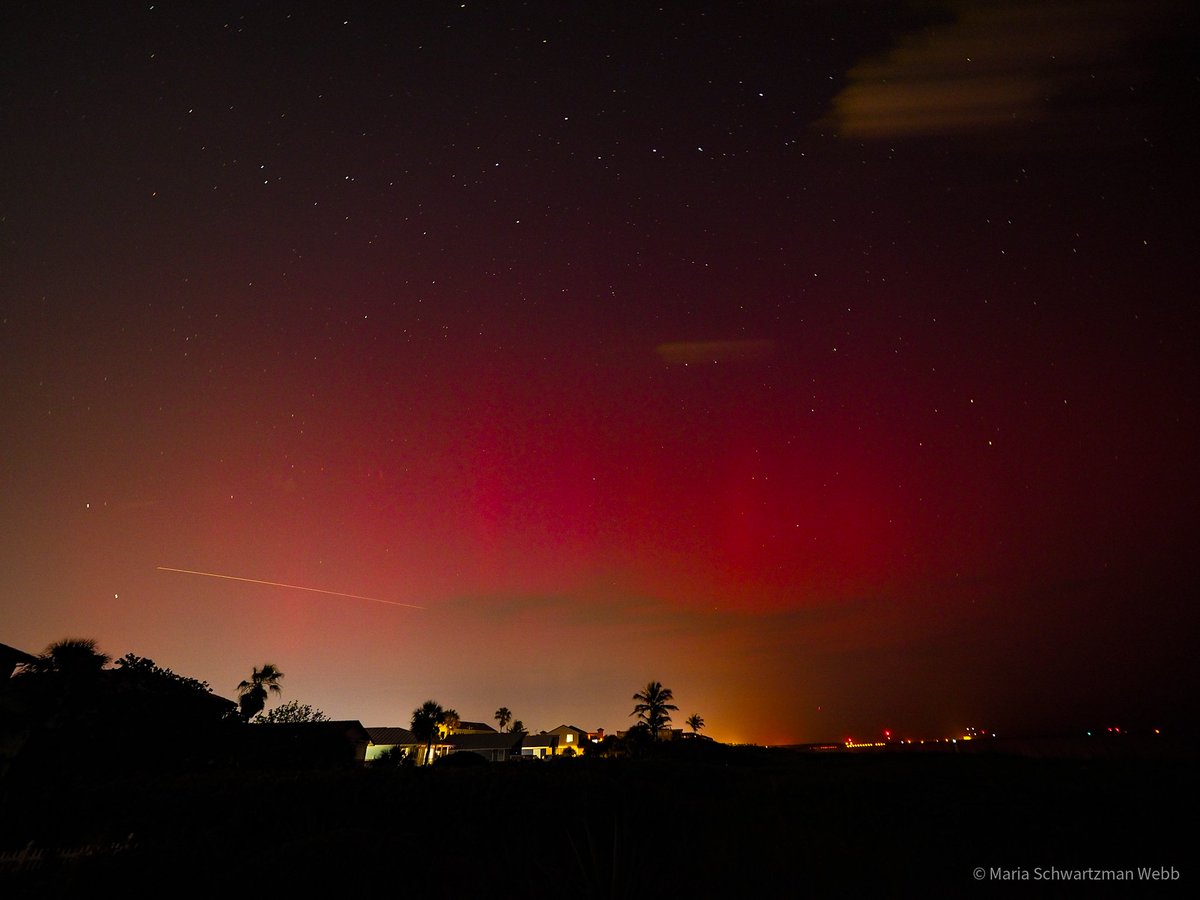 Maria Schwartzman Webb tweet media