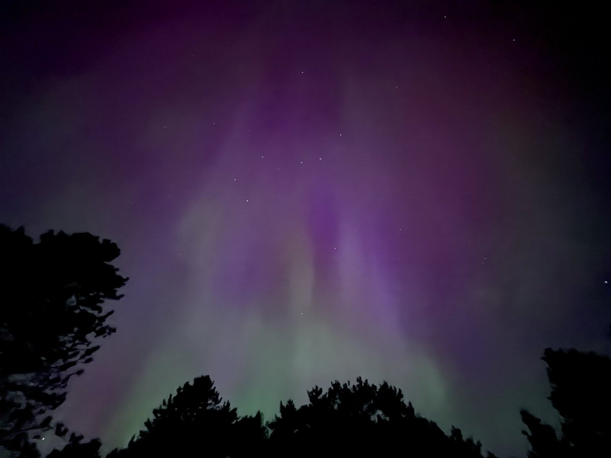 Bryce Davidson 🧢 tweet media