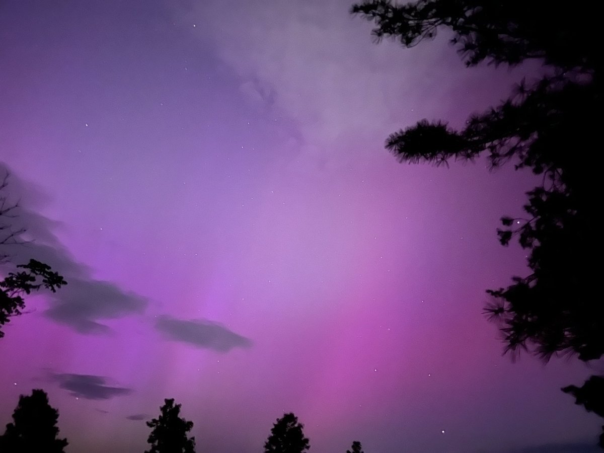 MichaelEricParks tweet media