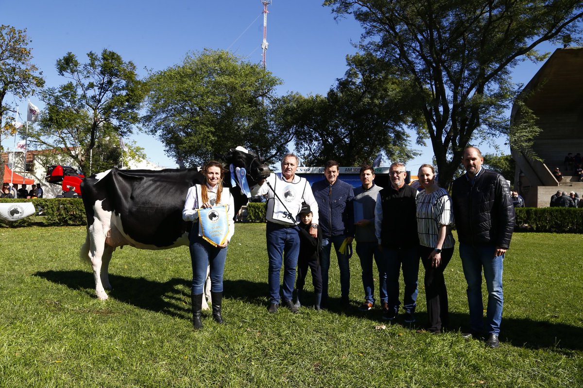 TodoLactea tweet media