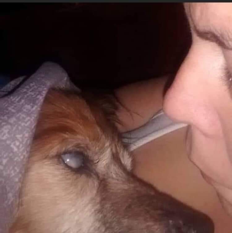 'Ayer adopté al perro más viejo, más enfermo, Dale abrazos a un viejito.
Ellos nos necesitan...'🐾♥️🐾

ES UN MENSAJE PARA QUE ADOPTEN A UN ABUELO. LE PUEDEN DAR LA OPORTUNIDAD DE SER FELIZ LOS ULTIMOS AÑOS DE SU VIDA