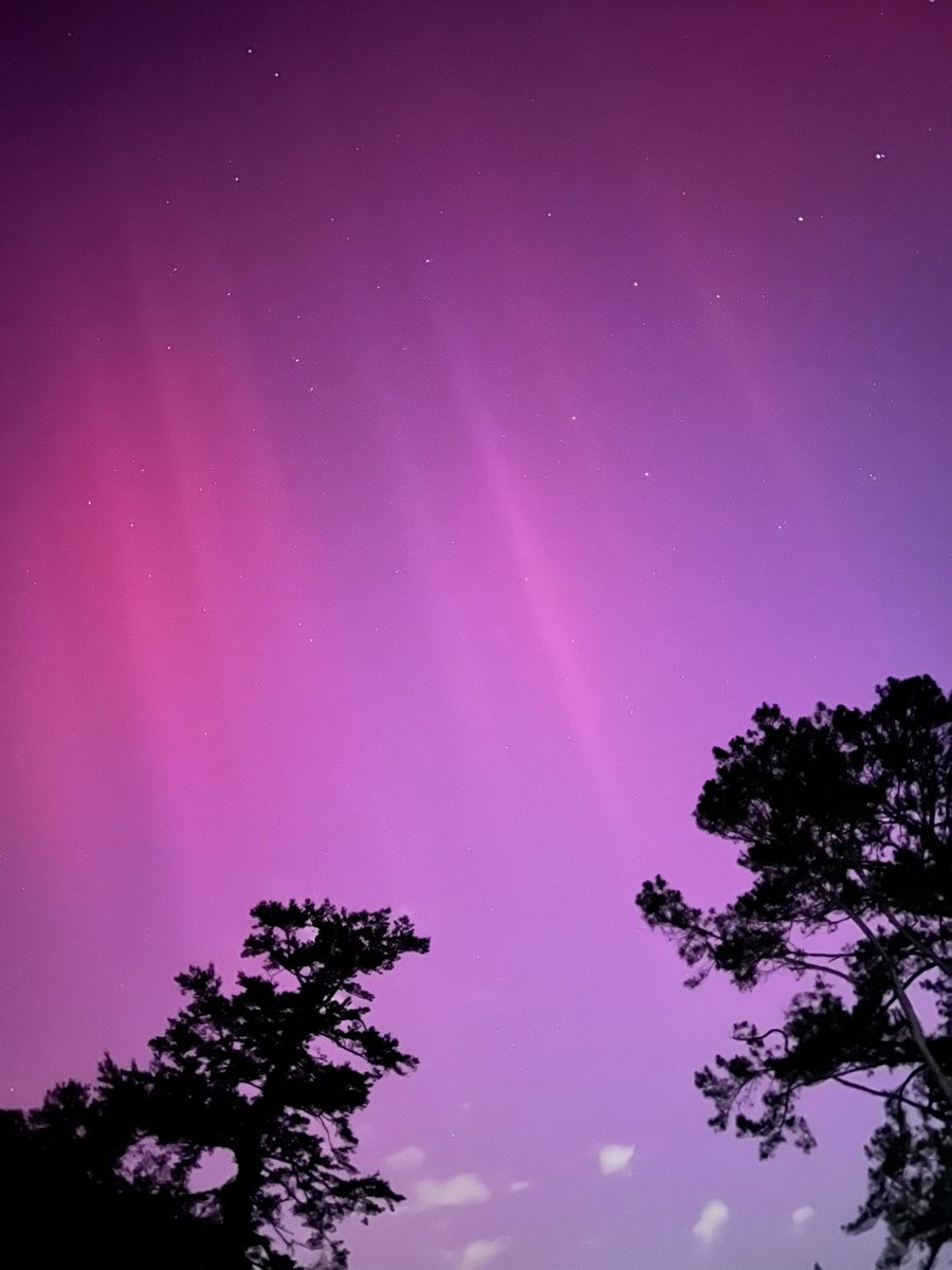 EdRT's tweet image. @chswx thought you’d enjoy. Went outside the gate to Colonial Dorchester near Summerville for some dark. Wound up with these!