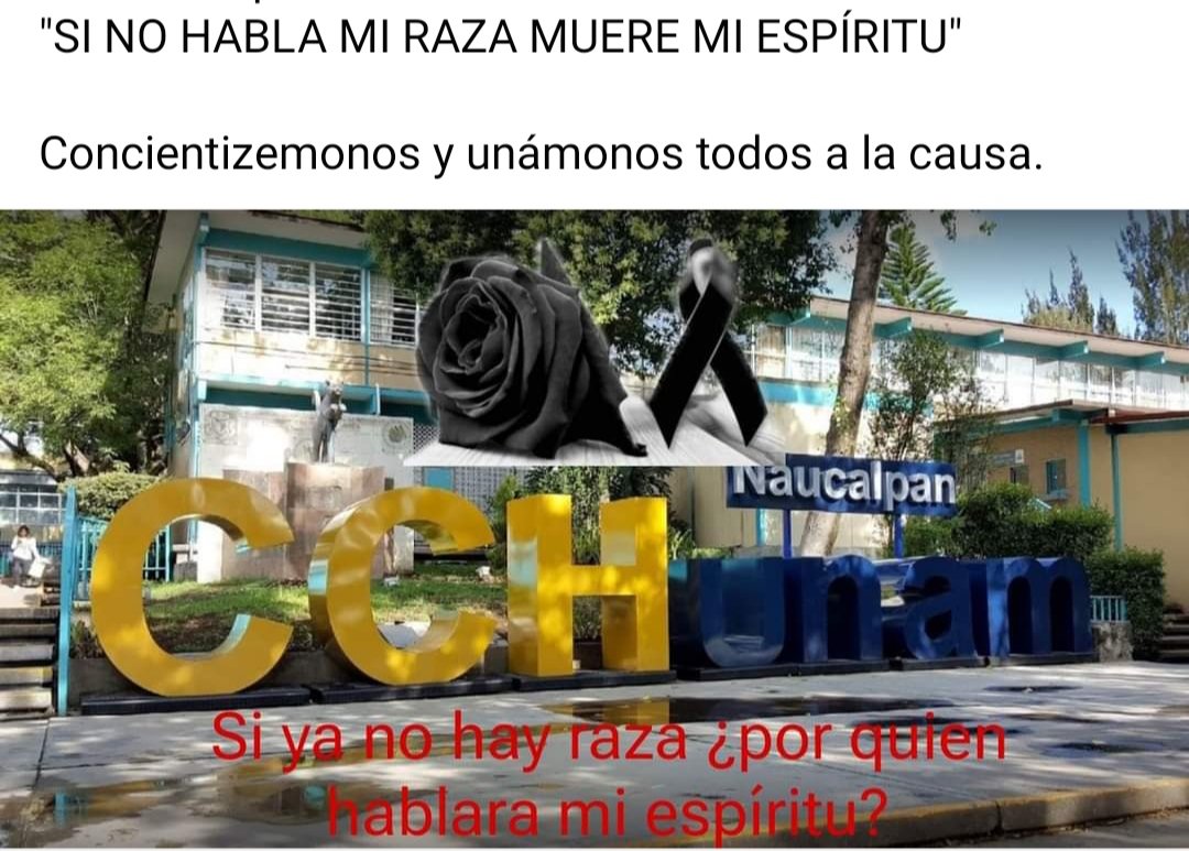 Las publicaciones de estudiantes del CCH Naucalpan son una petición de solidaridad, de acompañamiento y apoyo. Si la UNAM les ha dado la espalda el pueblo no debe abandonarlos. Está lucha debe ser de todos. Nuestros jóvenes no deben estar solos.