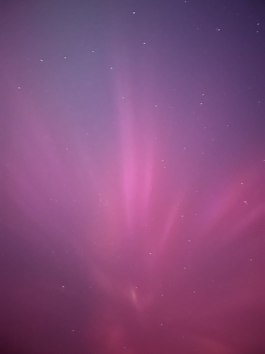 🅰️ BamafanBartman 🙏🇺🇸 tweet media