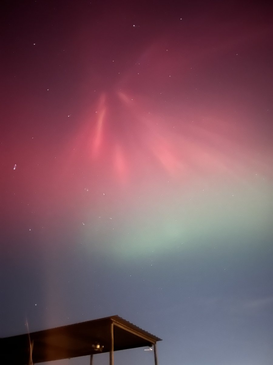 🅰️ BamafanBartman 🙏🇺🇸 tweet media