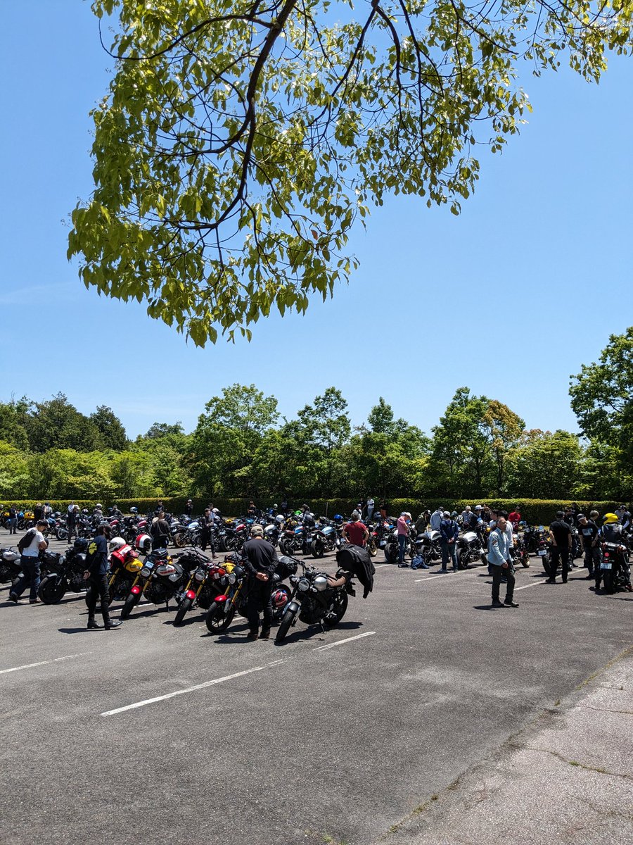 indasu1212's tweet photo. xsrが沢山
タンクのカスタムペイントはxsr900よりもxsr700の方が多いかも https://t.co/o0wkrLC0uw