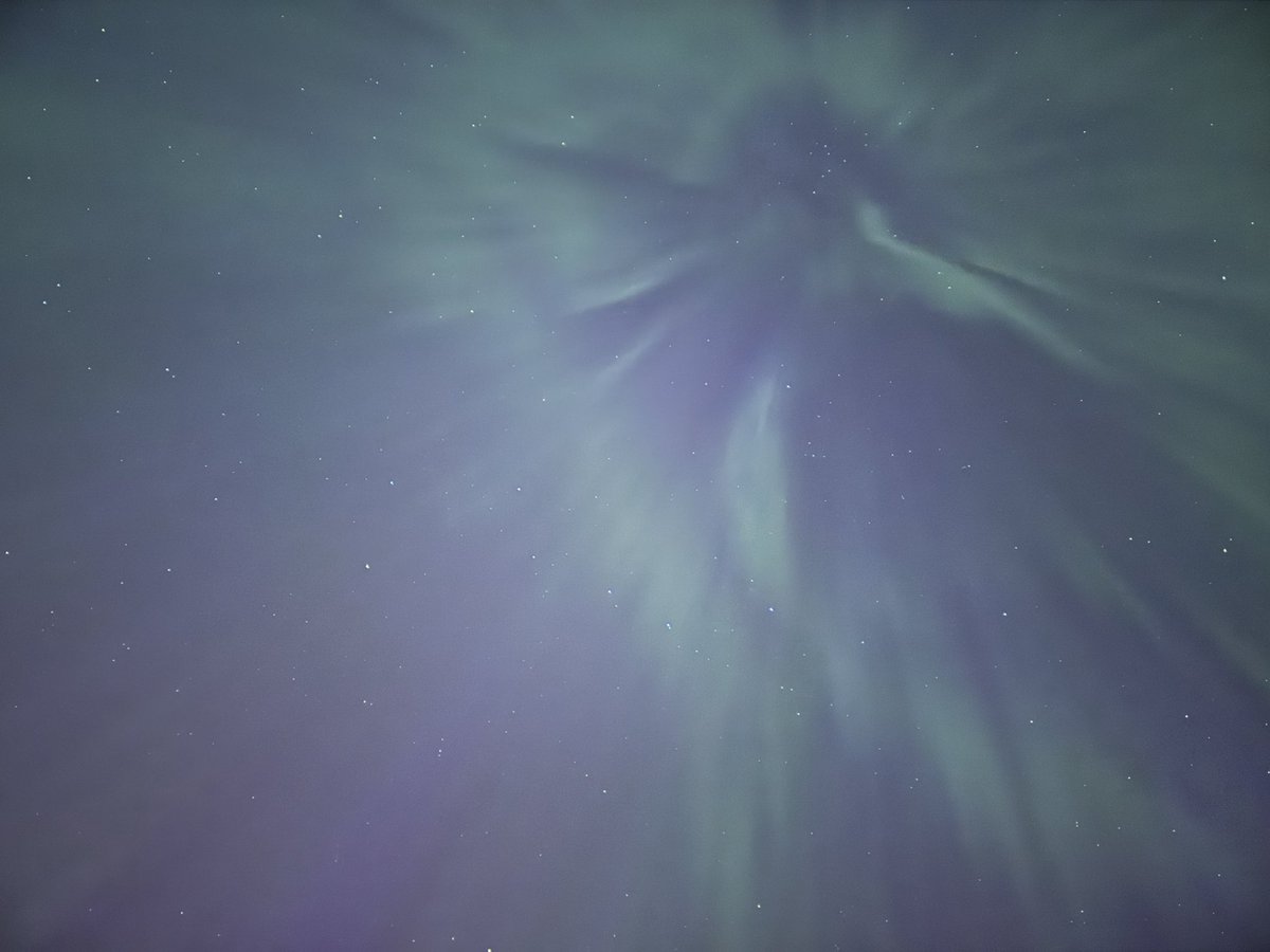 ColdHaggiss's tweet photo. Aurora https://t.co/RflBl2zMFz