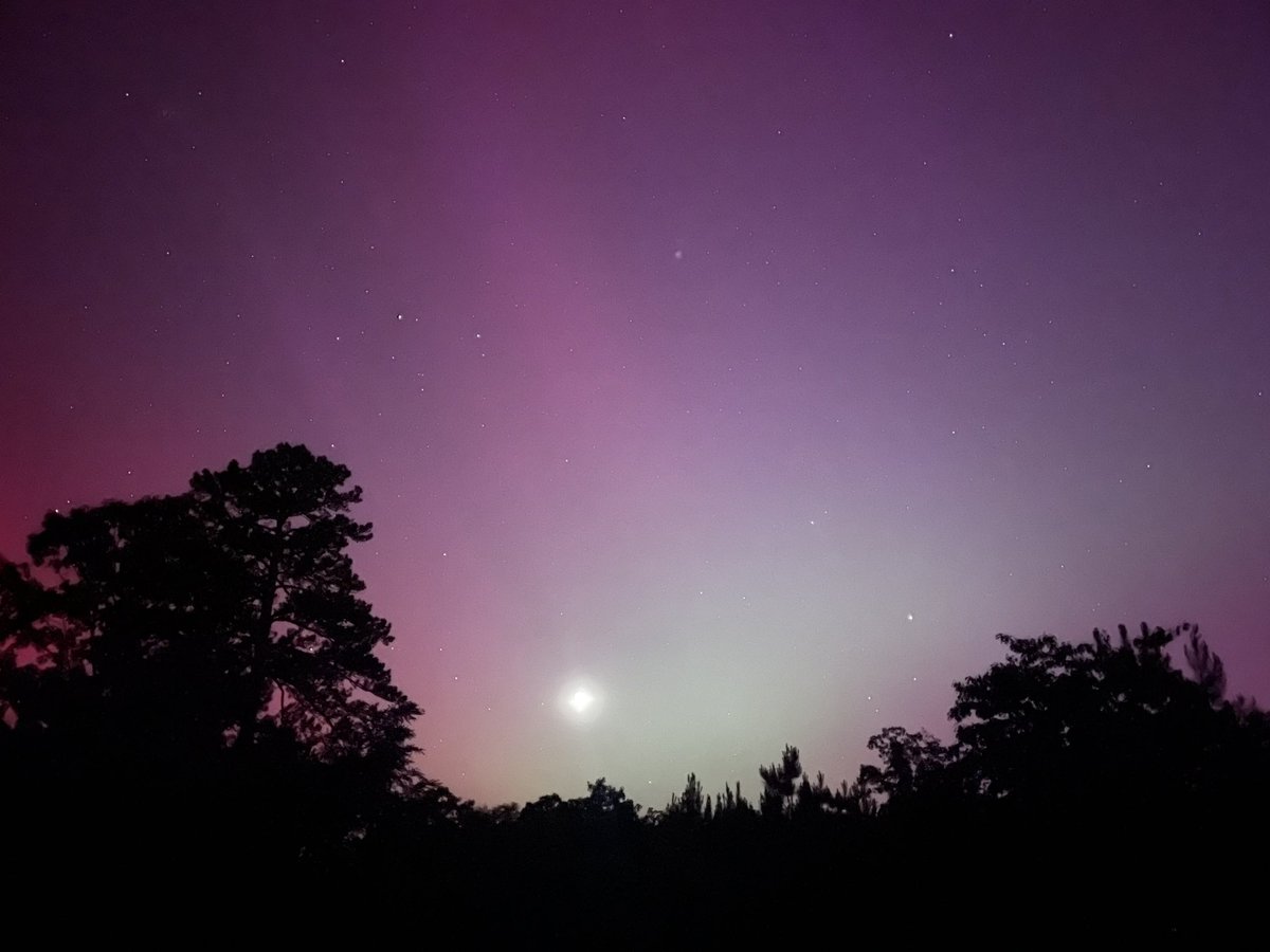 Daniel Bishop tweet media