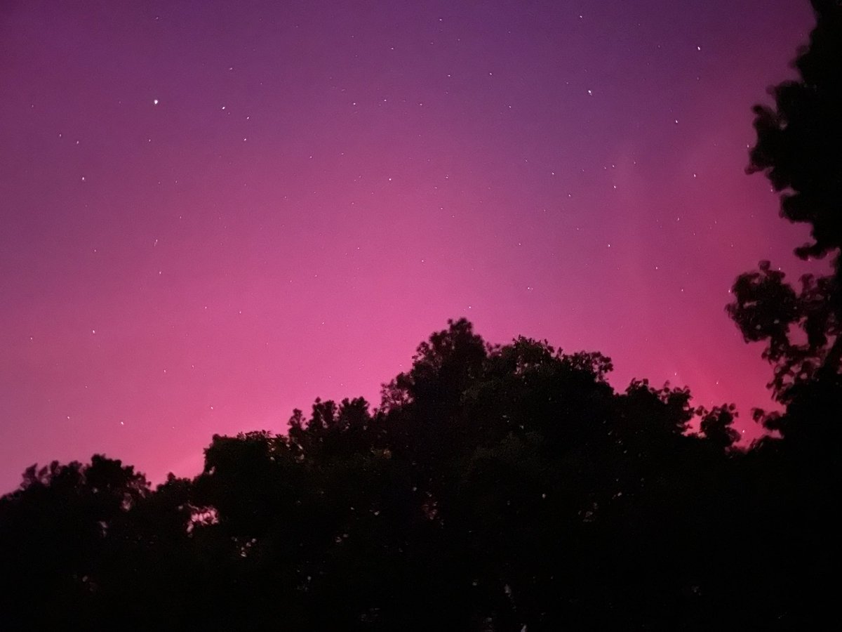 Daniel Bishop tweet media