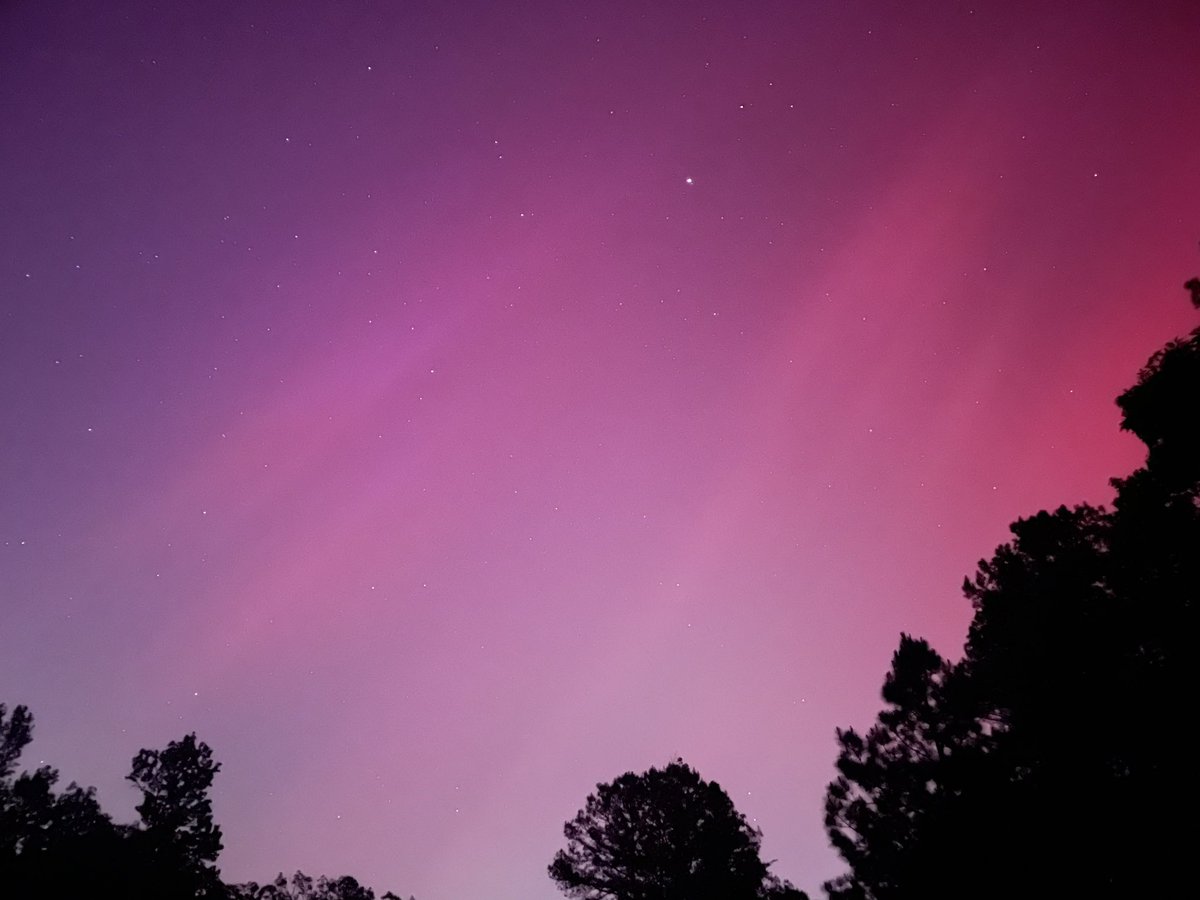 Daniel Bishop tweet media