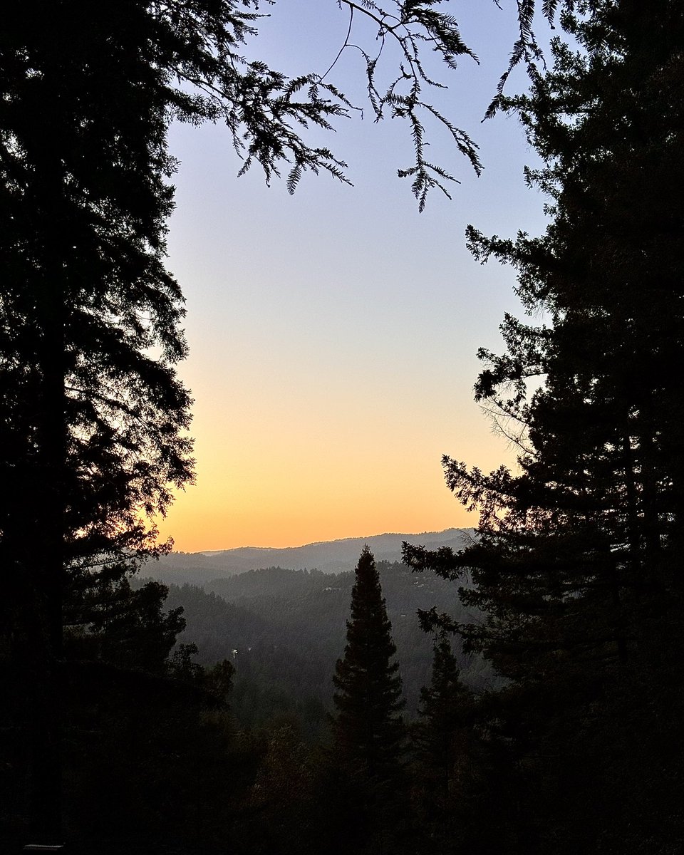 Native Santa Cruz tweet media