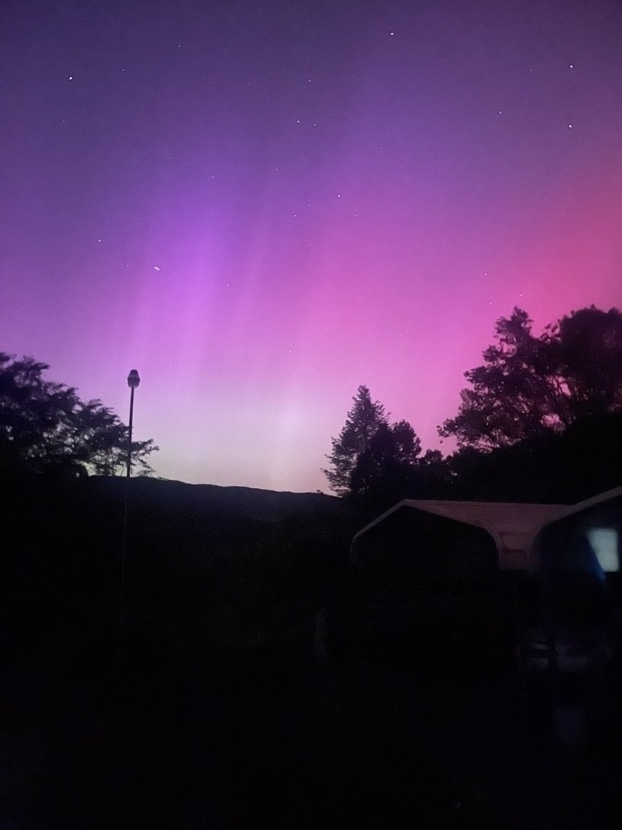 Theadguy. tweet media