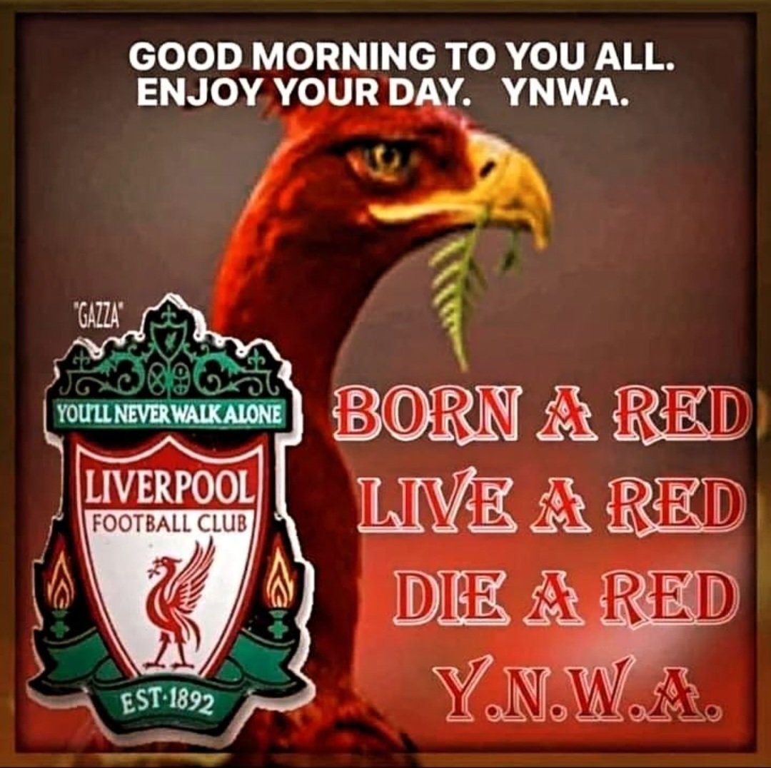 Good morning Reds! 
 #YNWA 🔴 #LFCFamily