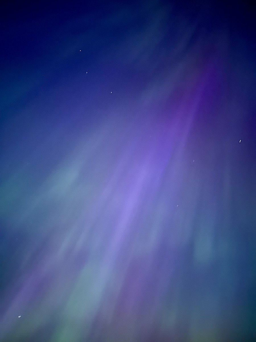 Caitlin Chambers, MD, FAAOS tweet media