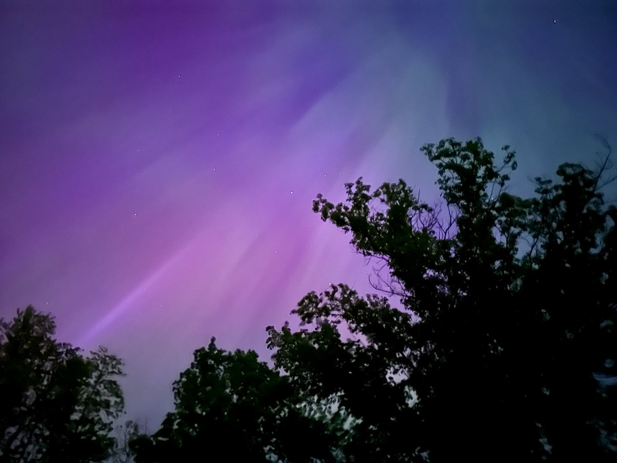 Caitlin Chambers, MD, FAAOS tweet media