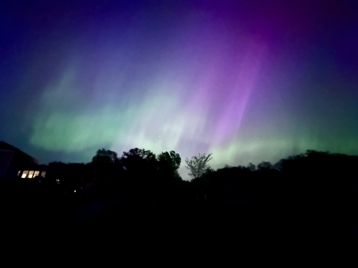 Caitlin Chambers, MD, FAAOS tweet media