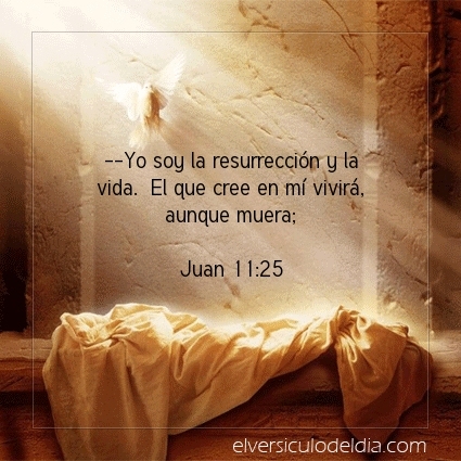 --Yo soy la resurrección y la vida. El que cree en mí vivirá, aunque muera; Juan 11:25 #versiculodeldia #versiculobiblico #biblia