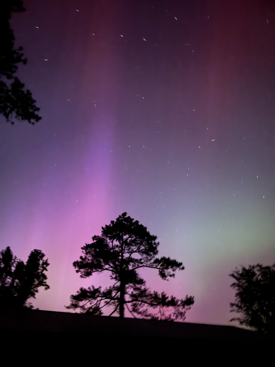 aliyaleslie's tweet photo. Aurora Borealis in Cullman, AL @spann https://t.co/CiVXSGWnPr